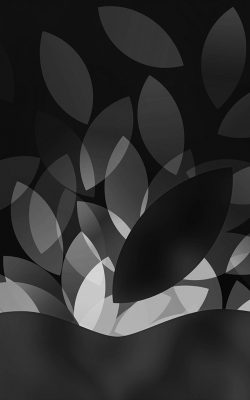 papers