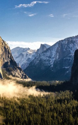 Good Morning Yosemite