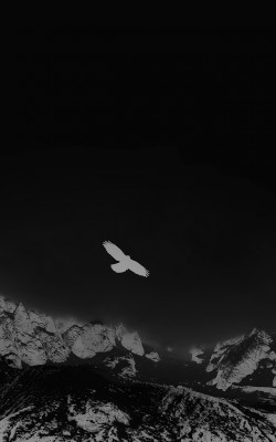 papers