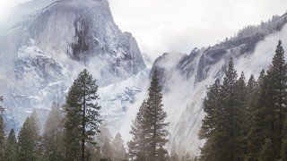 papers