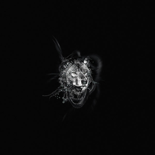 papers.co-ad71-wolf-by-ekud-dark-illust-art-wallpaper