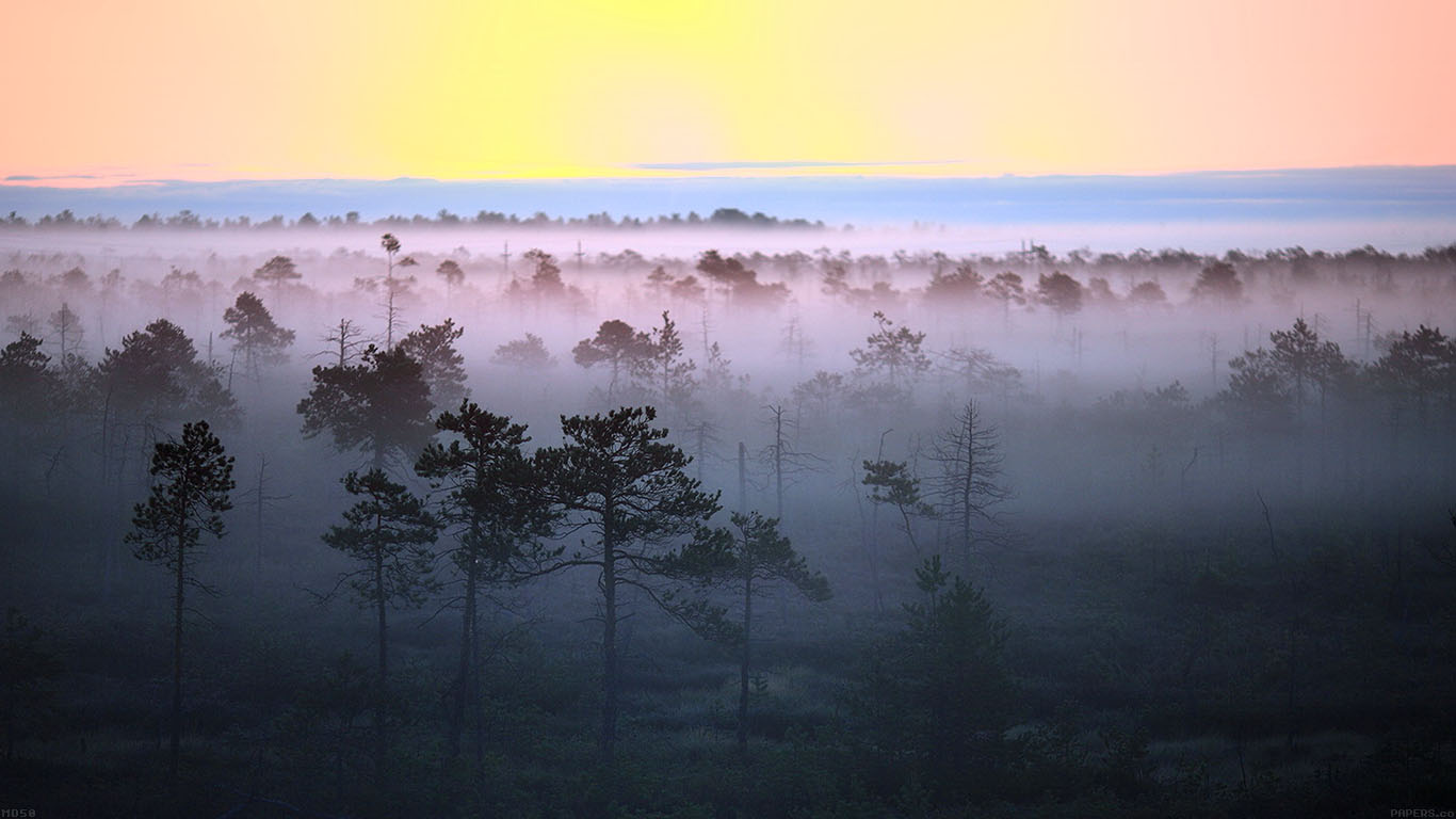 nature