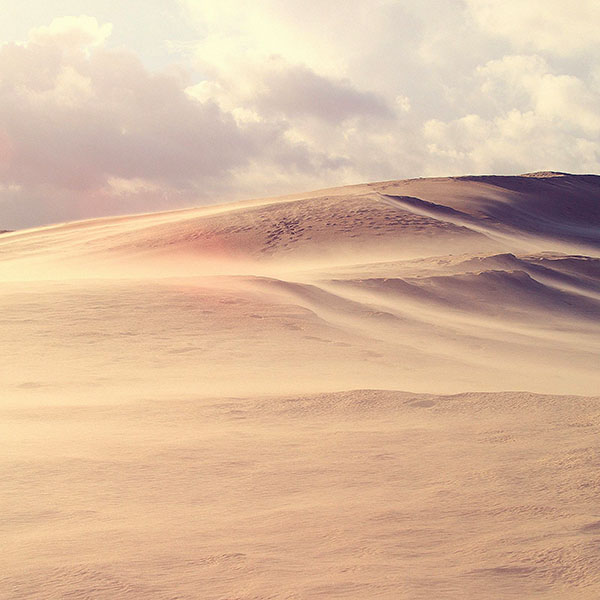 papers.co-mf86-desert-garden-no-water-food-wallpaper
