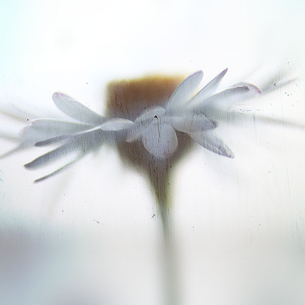 papers.co-mk13-flower-paint-art-texture-nature-wallpaper