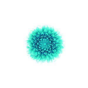 papers.co-ac96-wallpaper-apple-iphone6-plus-ios8-flower-green-1-wallpaper1