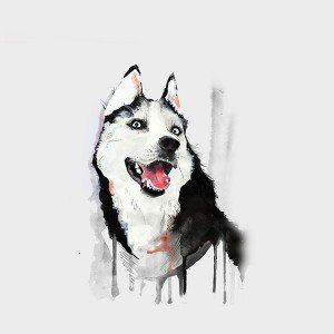 papers.co-ai25-happy-dog-husky-animal-illust-watercolor-1-wallpaper