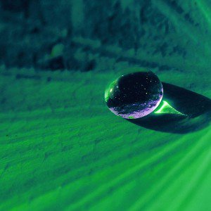 papers.co-ma22-water-drop-on-green-flower-nature-1-wallpaper1
