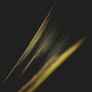 papers.co-ma89-astro-leaf-nature-1-wallpaper