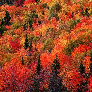 papers.co-md74-fall-mountain-red-1-wallpaper