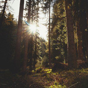 papers.co-mi93-mountain-sunlight-marco-jorger-nature-1-wallpaper