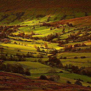 papers.co-mk81-fall-field-mountain-nature-tree-1-wallpaper