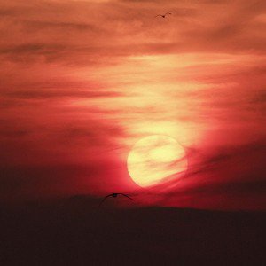 papers.co-mm20-sky-red-sunset-night-nature-1-wallpaper