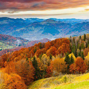 papers.co-mr49-fall-mountain-fun-red-orange-tree-nature-1-wallpaper