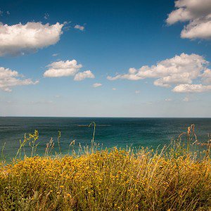 papers.co-mt65-sea-cloud-flower-nature-1-wallpaper