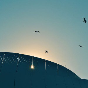 papers.co-mu19-bird-sky-sunshine-flare-blue-nature-animal-1-wallpaper