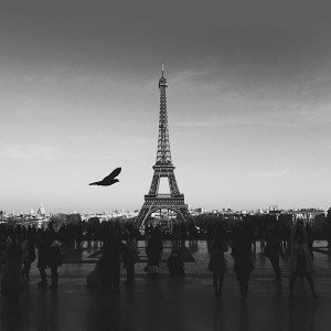 papers.co-mu80-paris-eiffel-tower-tour-dark-bw-bird-france-1-wallpaper