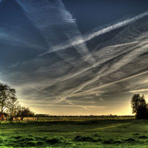 papers.co-mx46-field-green-sky-cloud-nature-tree-1-wallpaper