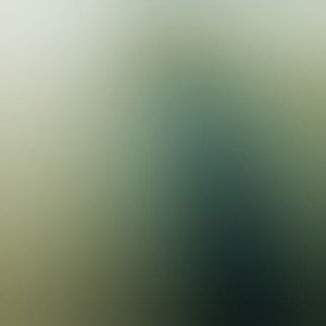 papers.co-sa48-bamboo-world-blur-1-wallpaper
