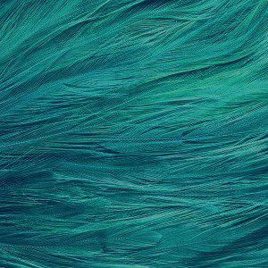 papers.co-vf29-feather-blue-bird-pattern-1-wallpaper