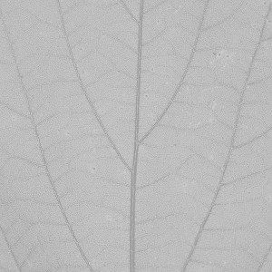 papers